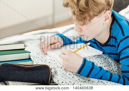 Young Teenage Boy Doing His Homework