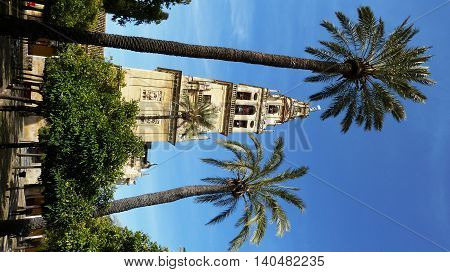 A sunny garden in Sevilla in February