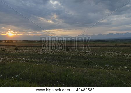 Summer meadow at sunset. Tunkinskaya valley, foothills of Sayan, Buryatia