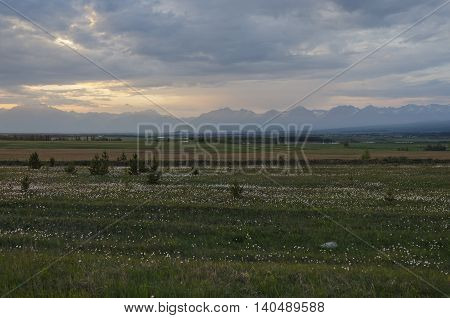 Summer meadow at sunset. Tunkinskaya valley, foothills of Sayan, Buryatia