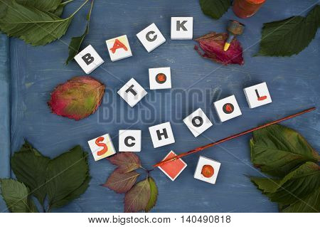 Leaves and playing cubes with text Back To School laid on the blue pupil desk. Overhead outdoor shot