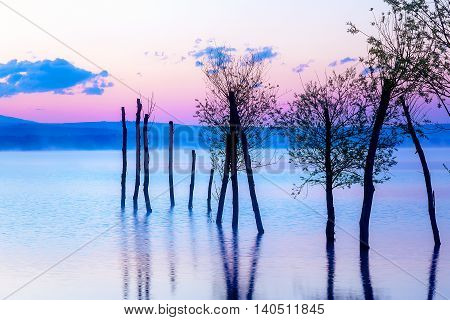 Beautiful landscape with a lake and mountains in the background and trees in the water. Blue and purple color tone. Slovakia, Central Europe, region Liptov