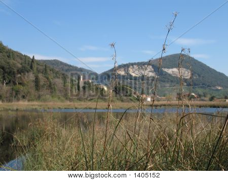 Massaciuccoli