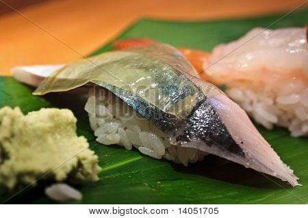 Sushi nigiri