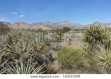 Landscapes of Red Rock Canyon State Park, Nevada, USA
