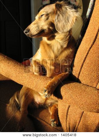 Теплый & комфортно