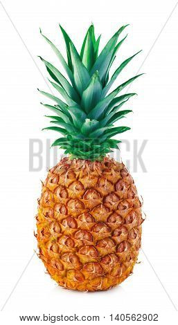 Ripe Pineapple Close-up Isolated On A White Background.