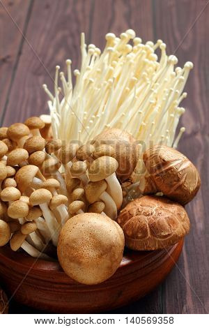 Mushroom three kind Shimeji Shiitake and Enokitake for healthy.