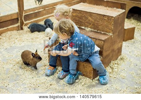 Children Play With The Rabbits In The Petting Zoo
