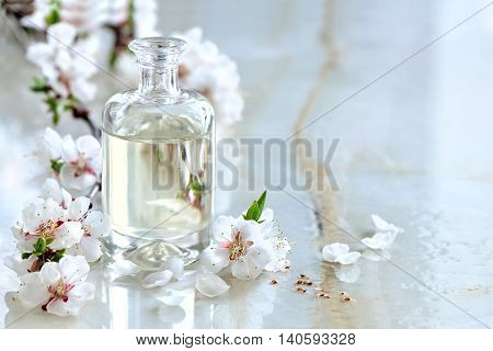 Spa massage oil decorated with spring blooming branches special formula of essencial oils; exclusive and luxury product