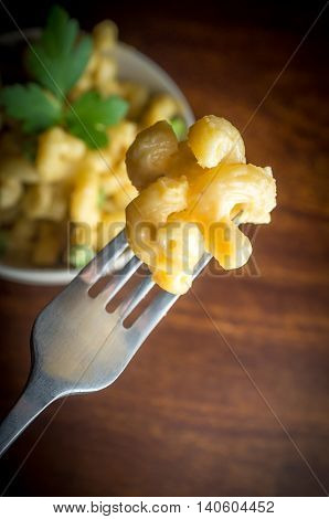 Delicious macaroni and cheddar cheese with parsley sprig