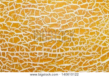 Close up of melon peel food texture