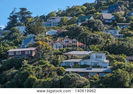 Residential Area On Sumner Beach In Christchurch