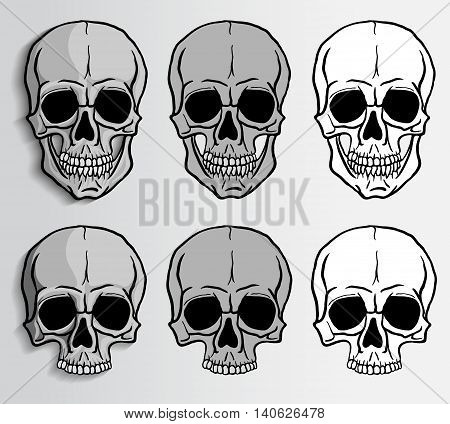 Human skulls set. Freehand drawing human skulls. Vector illustration.