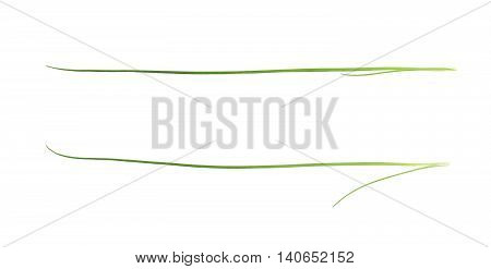Green onion scallions isolated over the white background, set of two different foreshortenings