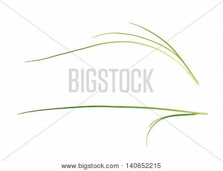 Green onion scallions isolated over the white background, set of two different foreshortenings