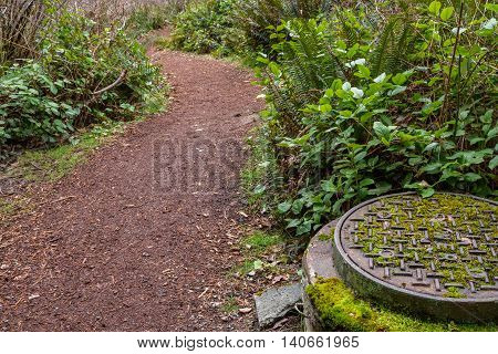 Sewer manhole entry next to walking trail in the woods