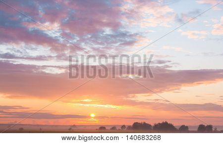 Red Sunbeams Grass Land 