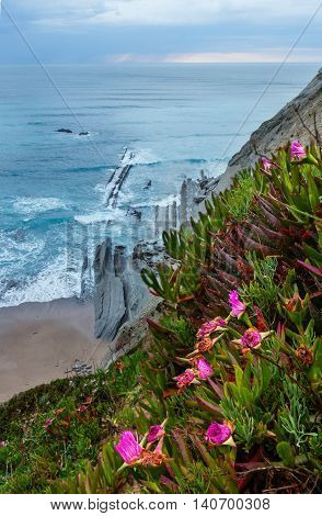 Spring Sunset Ocean Coast.