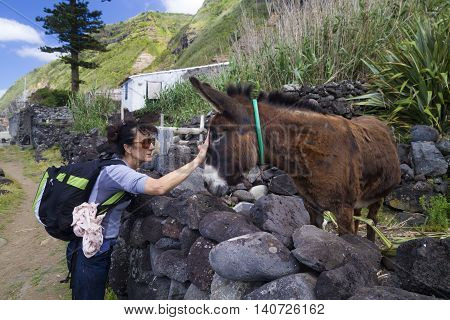 Tourist cuddle donkey in Azores island Portugal