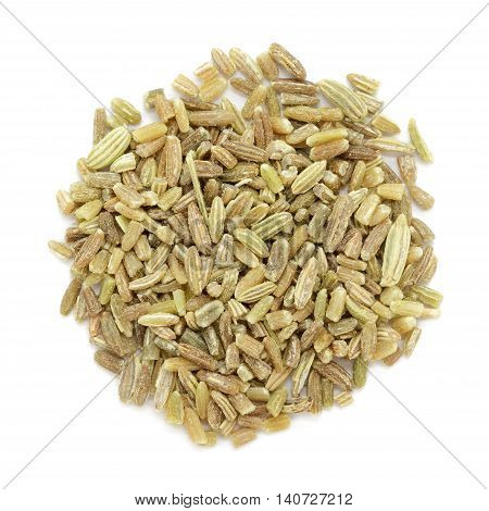 Organic fennel (Foeniculum vulgare) in big cut size. Isolated on white background. Macro close up. Top view.