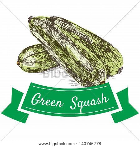 Vector illustration colorful set with green squash. Illustration sorts of vegetables on white background