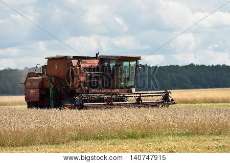 Harvesting Of Wheat. Russia