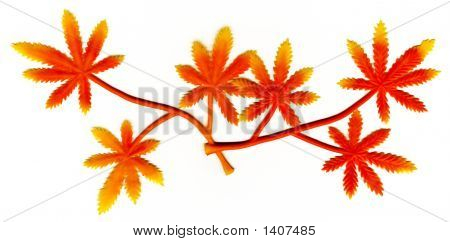 Red Leaves.
