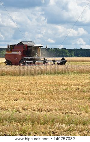 NARO-FOMINSK RUSSIA - JUL 31 2016: Harvesting of wheat. Combine Harvester in agricultural fields. Russia ranks first in the export of wheat in the world is continuously increasing grain production
