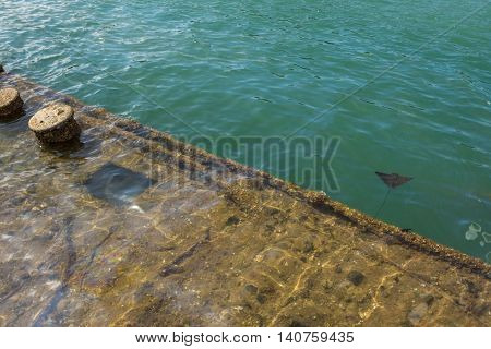 Pearl Harbor Wreck oil and fish in ozean