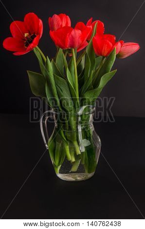 Bouquet of red tulips in a jar of glass, black background
