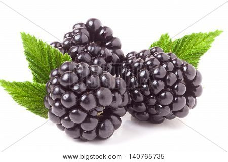 three blackberry with leaf isolated on a white background closeup.