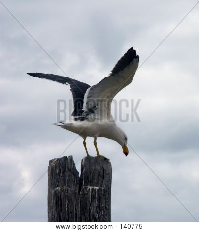 Take-Off