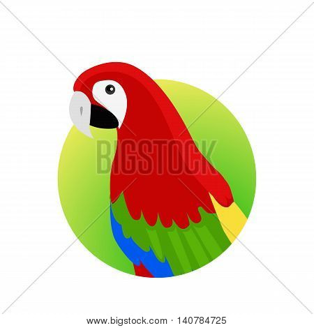 Ara parrot vector. Birds of Amazonian forests in flat design illustration. Fauna of South America. Beautiful Ara parrot on branch posters, childrens books illustrating. Isolated on white.