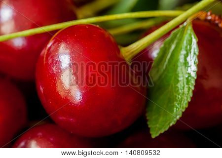 Berry of juicy ripe cherries. Pulp berries cherry used to increase hemoglobin in the blood, reduce the high pressure, strengthen capillaries to prevent bleeding