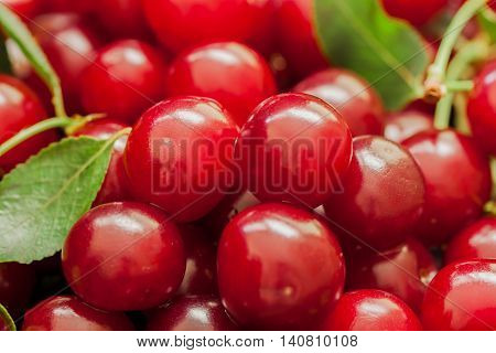 Appetizing, juicy, bright cherries closeup. Pulp cherry berries - tasty and healthy natural medicine with a broad spectrum of action