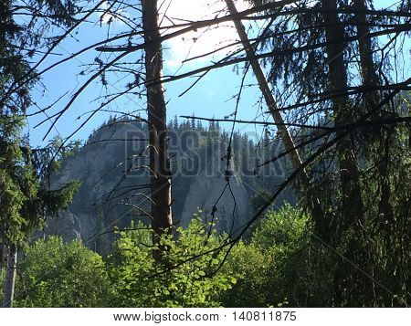 Romania, August 25, 2015, Ceahlau Massif, Moldova, View from the old forest