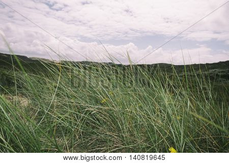 Beach and Sand Dune.Beach and sand dune covered with Marram Grass, Germany, Sylt, List.