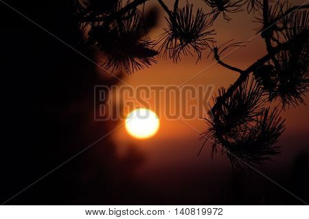 Orange Sunrise In Austria Mountains In Summer Time
