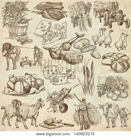 Agriculture.Farming.Life of farmer.Agricultural set.Collection of hand drawing illustrations.Pack of full sized hand drawn illustrations.Set of freehand sketches.Line art technique.Drawing on paper.