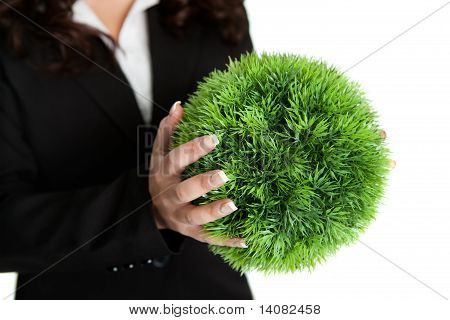 Concepto de negocio verde