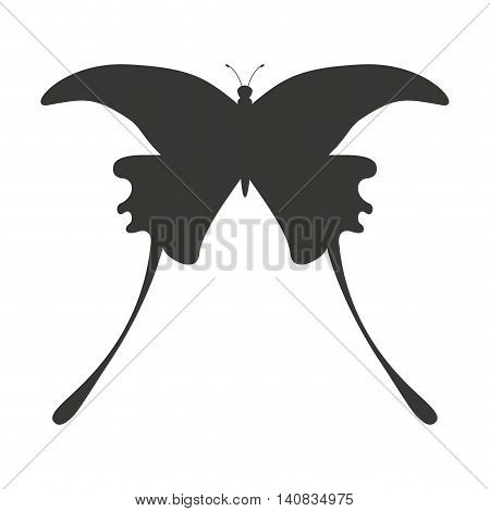 beautiful butterfly silhoeutte icon vector isolated graphic