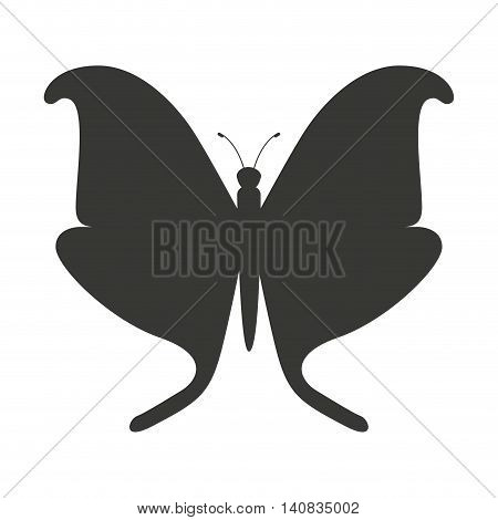 beautiful butterfly silhoeutte icon vector isolated graphic