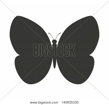 beautiful butterfly silhoeutte icon vector isolated graphic