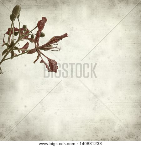 Textured Old Paper Background