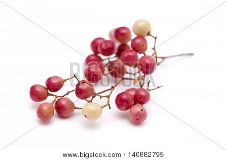 Pink Peppercorn Clusters Isolated On White