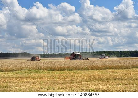 NARO-FOMINSK RUSSIA - JUL 31 2016: Harvesting of wheat. Combine Harvester in agricultural fields. Russia ranks first in the export of wheat in the world is continuously increasing grain production