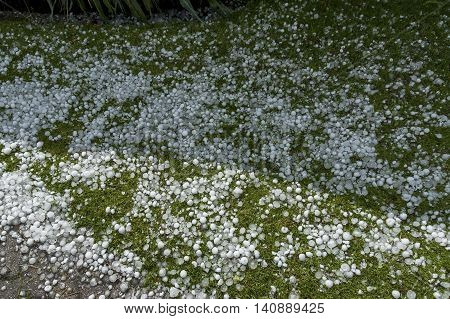 Big quantity of ice ball over the grass in garden, South Africa