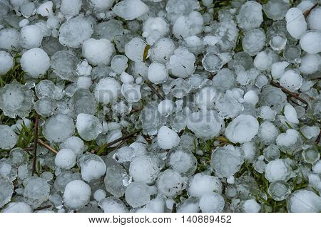Big quantity of ice ball over the grass in garden, South Africa