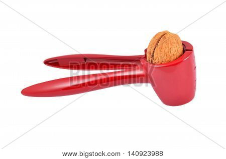 Nutcracker And Nut